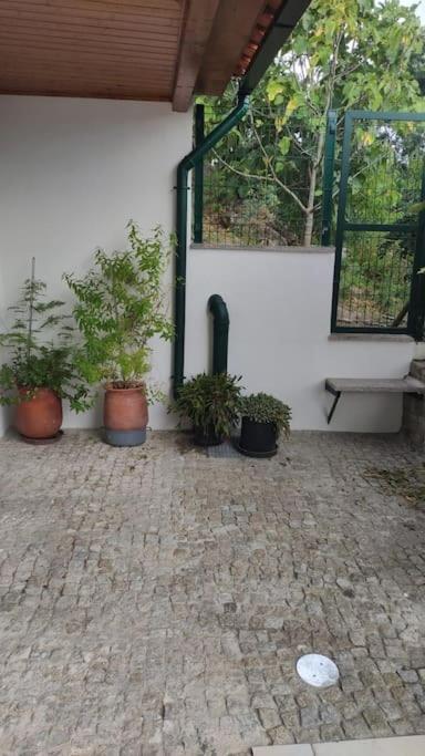 Casa Dionisio Villa Amarante Kültér fotó
